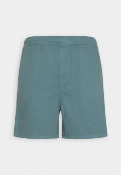 Kaotiko Berm. Carpenter Unisex - Shorts - Pale Blue -Kaotiko Tienda 861b63a86f1d47129cd4a873562d59e3