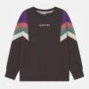 Kaotiko Crew Seattle Unisex - Sudadera - Grey/Purple/Rouge/Basil 1 Kaotiko Crew Seattle Unisex - Sudadera - Grey/Purple/Rouge/Basil -Kaotiko Tienda a76bdeeb713c4d4aa7f19b054a1ea10f